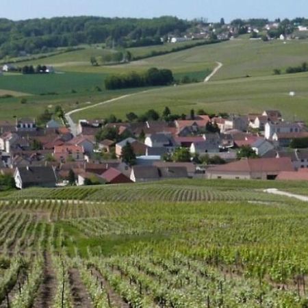 La Longere De Vin'Ay Daire Vinay  Dış mekan fotoğraf