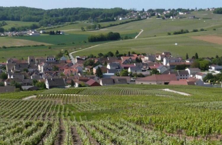 La Longere De Vin'Ay Daire Vinay  Dış mekan fotoğraf
