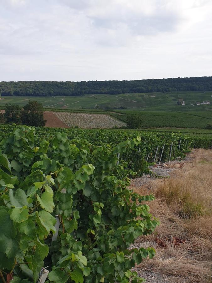 La Longere De Vin'Ay Daire Vinay  Dış mekan fotoğraf
